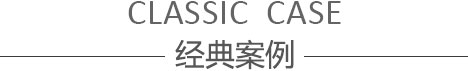 经典案例